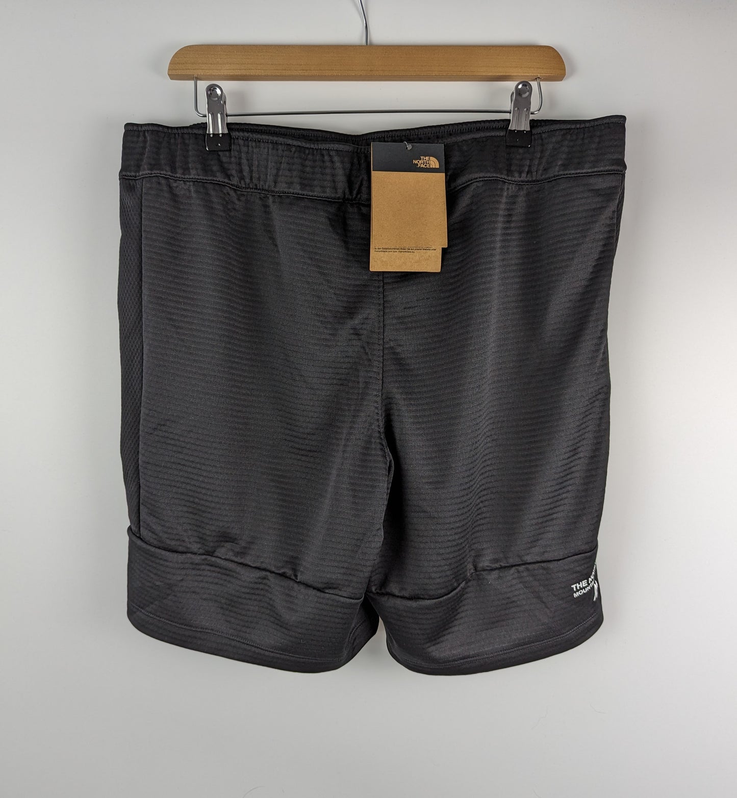 The North Face Men's MA Fleece Shorts - Black